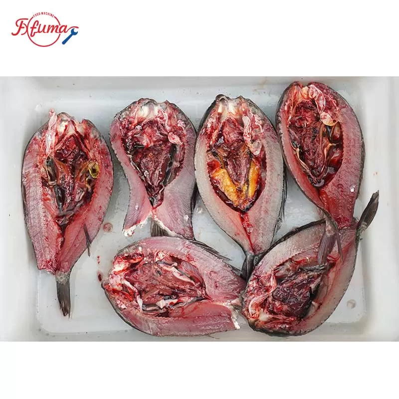 fish fillets