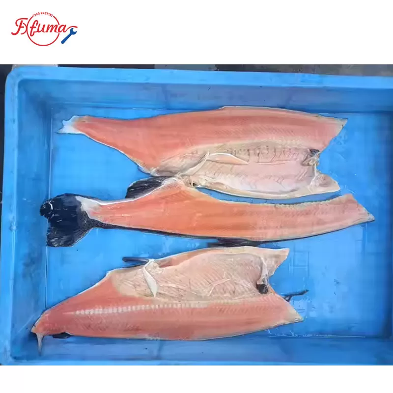 salmon fillets