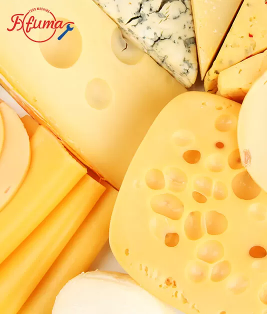 How to Choose Cheese Processing Machine