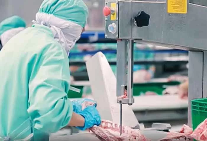 Preliminary Product Planning and Equipment Recommendations for Food Production Facilities (Part 2)