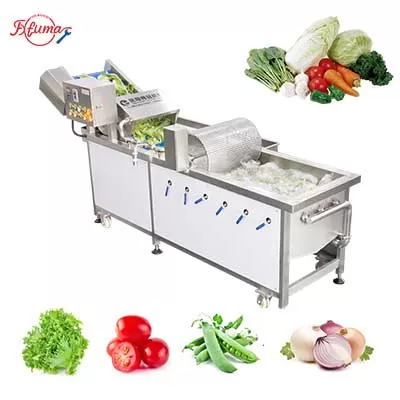 Vegetable Washer Machine with Impurities Remover - Commercial Grade Bubble Cleaning System