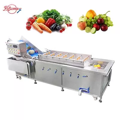 Fruit Vegetable Washing Machine with High Pressure Spray WA-2000