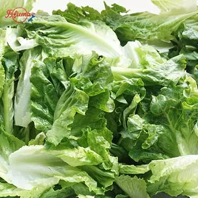 New Vortex Vegetable Cleaner Machine
