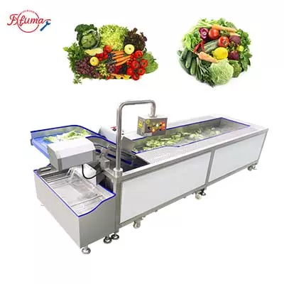 vortex washing machine for vegetable and fruit