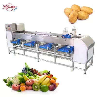 OG-606B Fruit Vegetable Roller Sorting and Grading Equipment