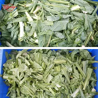 high-speed spin dryer for vegetables