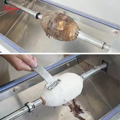 semi-automatic peeler for dasheen