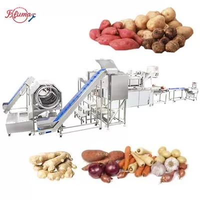 Automatic Potato Ginger Yam Taro Processing Line 
