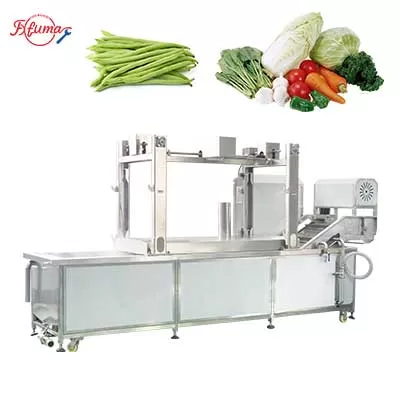 Industrial Vegetable Blancher Machine PT-3000
