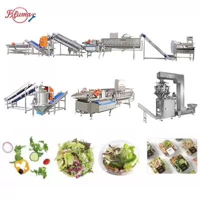 1-3T Pre-Cut Vegetable Processing Line