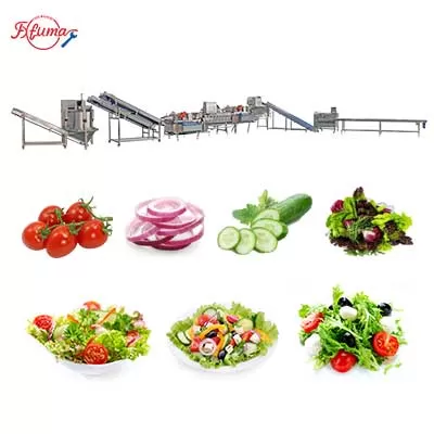 salad production line