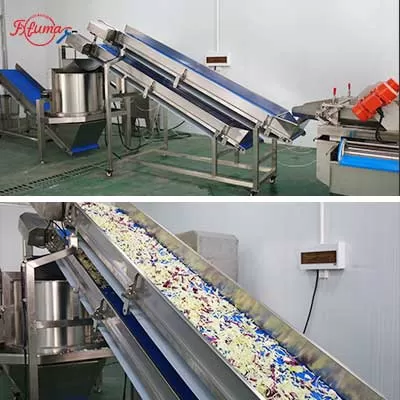 salad processing line