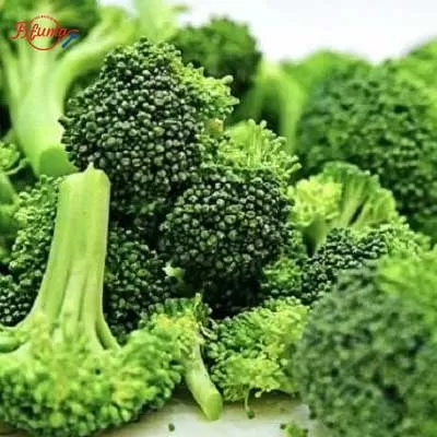 cauliflower broccoli production line