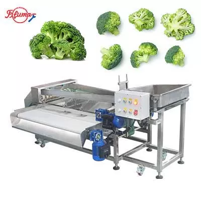 vegetable sorting machine