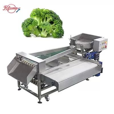 vegetable sorting machine