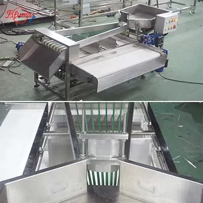 vegetable sorting machine