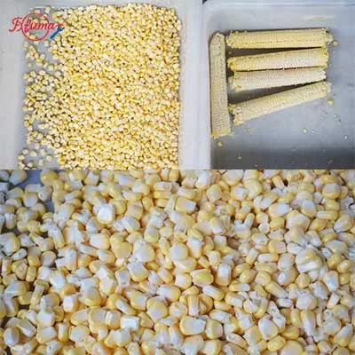 small corn processing line