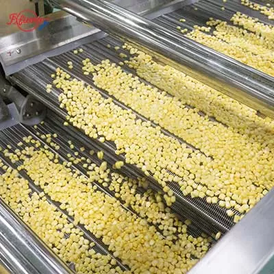 small-sweet-corn-processing-line-degerming-blanching-drying.jpg