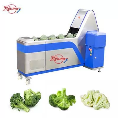 Broccoli & Cauliflower Floretting Machine Broccoli Coring Machine