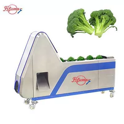 broccoli florets machine