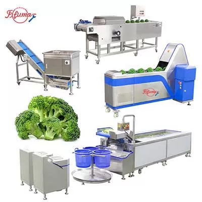 broccoli florets production line