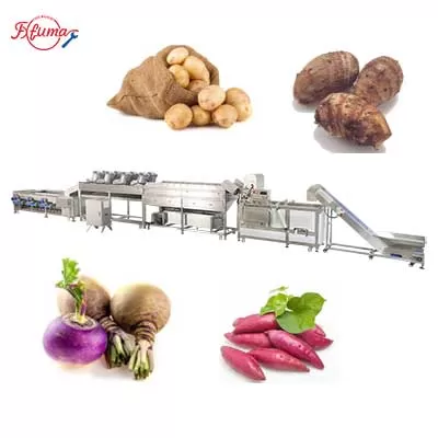 Beetroot Swede Cassava Potato Double-Washing Sorting Grading Line