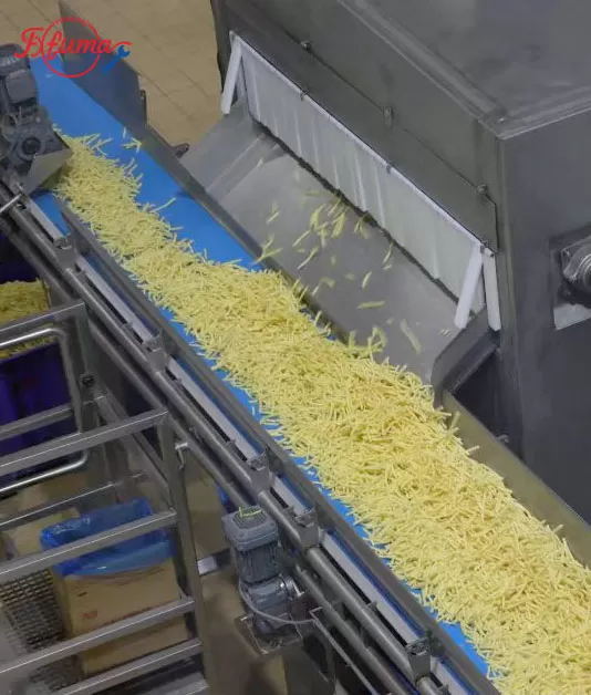Complete Guide to Potato Processing Line: Front, Mid, and End Stage Machinery