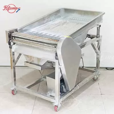 Automatic electric edamame shelling machine compatible with 220V and 380V voltage.