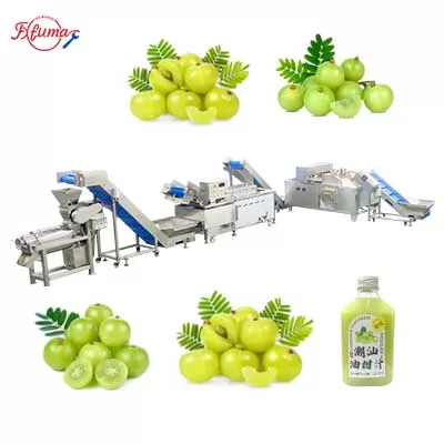 phyllanthus-emblica-juice-line-brush-spray-washer-food-processing-equipment.jpg