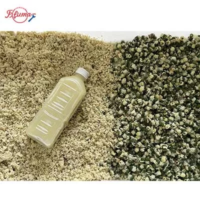 High-efficiency Amla juice processing line for small and medium businesses, including washing, pitting, blanching, and juice extraction equipment