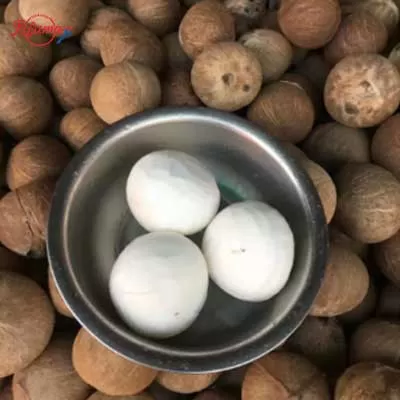 coconut peeling machine