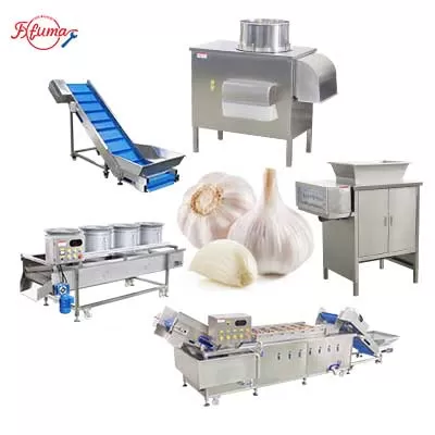  industrial-garlic-processing-line-bulb-breaking-peeling-washing-drying-food-factory-equipment.jpg