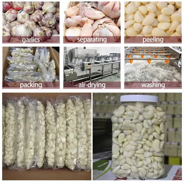  industrial-garlic-processing-line-bulb-breaking-peeling-washing-drying-food-factory-equipment.jpg