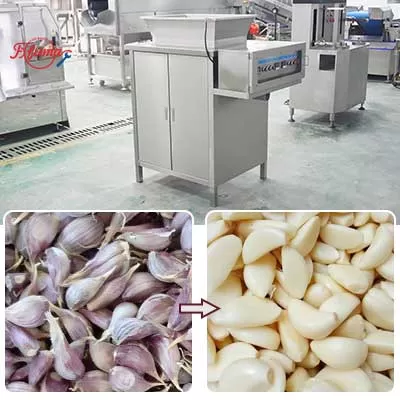 automatic-garlic-peeling-machine-equipment.jpg
