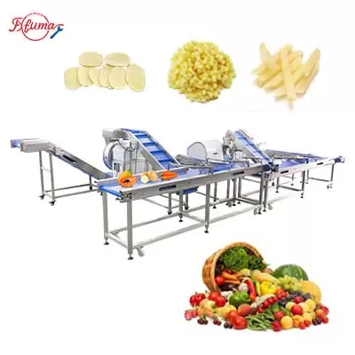 Vegetable and Fruit Distribution Device Sortation Conveyor System for Post-Processing Machines Vegetable and Fruit Distribution Device Sortation Conveyor System for Post-Processing Machines