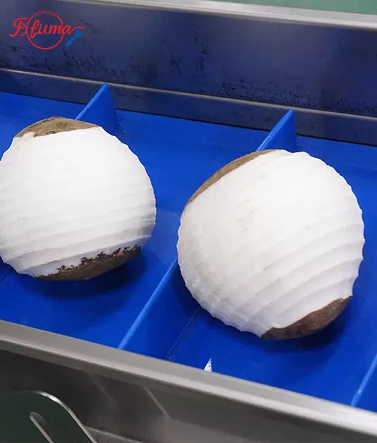 coconut processing machine