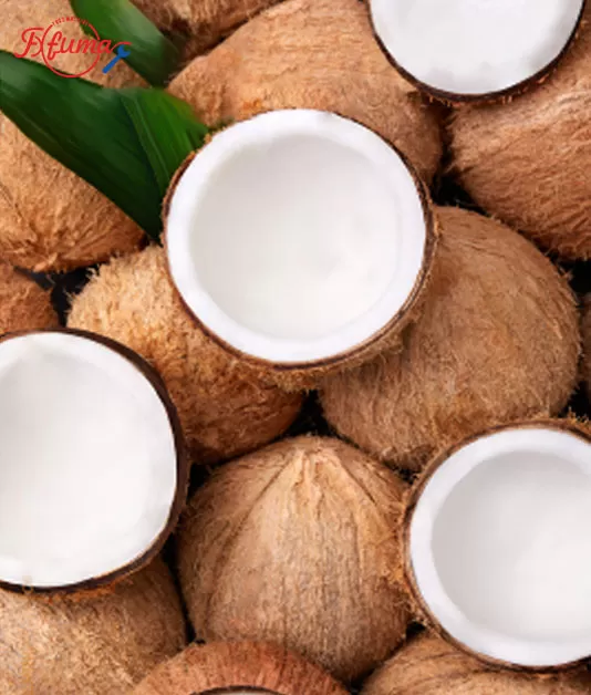 Global Coconut Processing Machines: From Manual Labor to Smart Automation