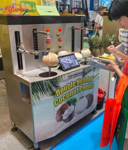Upgrading the Fruit and Vegetable Processing Industry in Southeast Asia: A Practical Guide to Choosing the Right Peeling Equipment