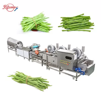 Fresh Green Beans Processing Line - Head Removing, Washing, Air Drying, Cutting Machine