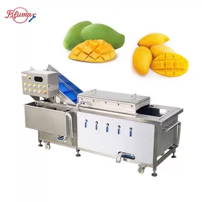 Food Grade Mango Hot Water Treatment Fruit Blanching Machine PT-1000