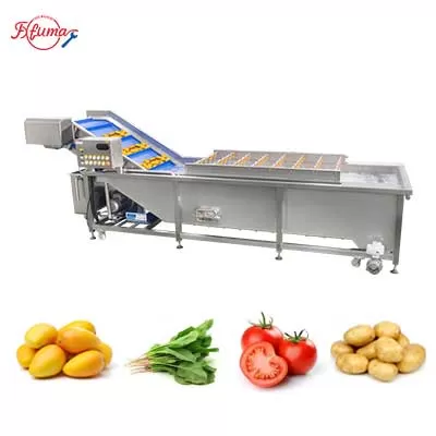 Industrial Vegetable and Fruit Bubble Washer with Pressure Spray WA-3000