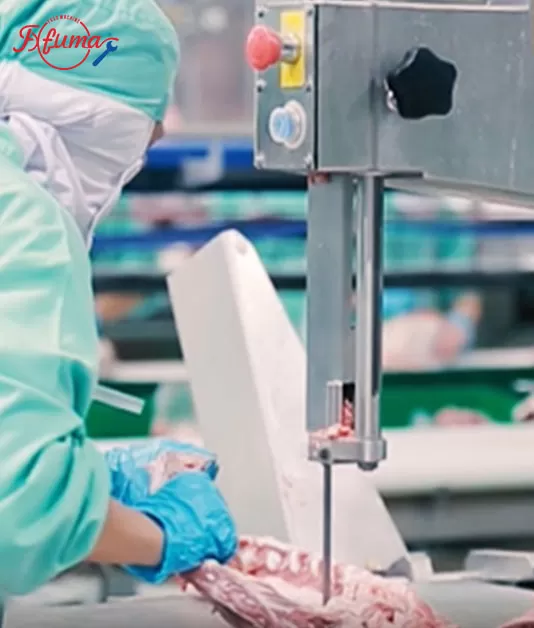How to Choose the Right Meat Cutting Machine | Meat Dicer, Slicer, Shredder & Bone Cutter Guide