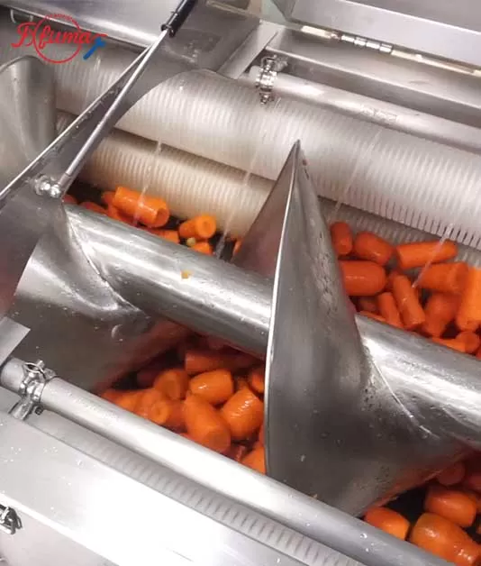 Full Guide to Fruit and Vegetable Brush Washing Machines: Structure, Applications, and Selection Tips