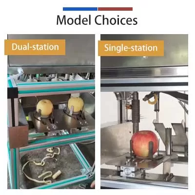 customizable-fruit-processing-machine.jpg