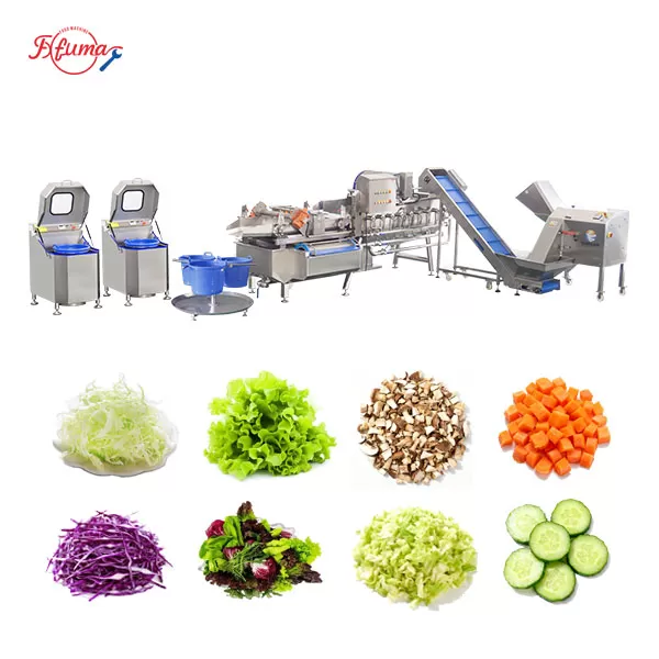 cabbge processing line