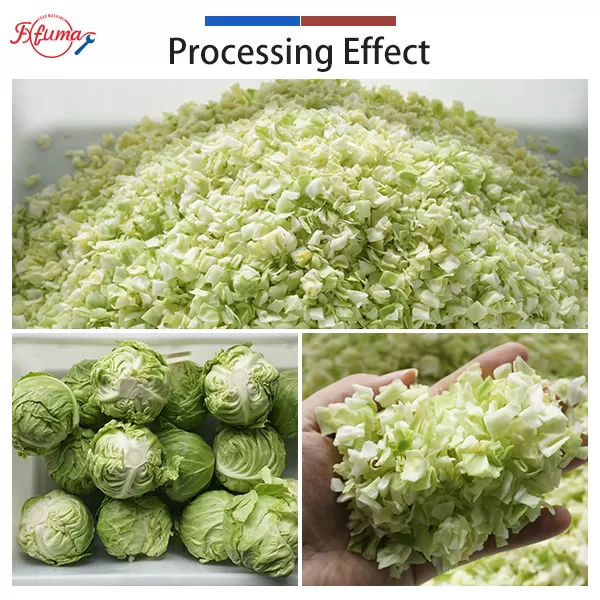cabbage production