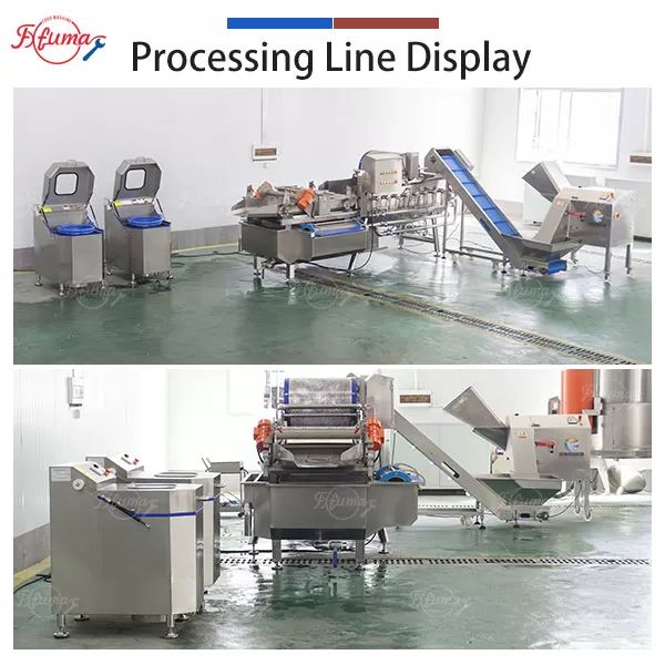 cabbge processing line