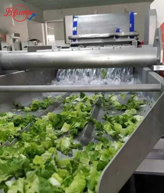 vegetable processing plant