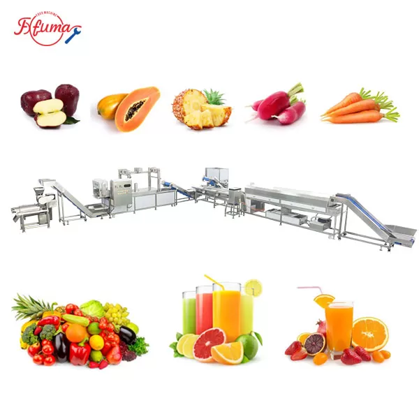 Customizable Vegetable and Fruit Juice Pre-Processing Line