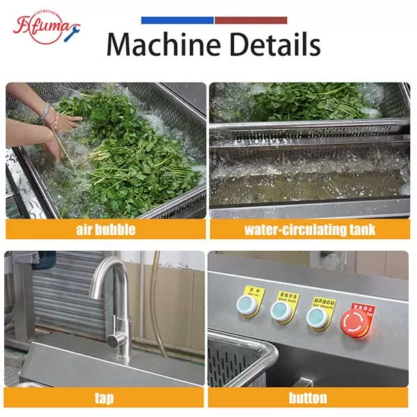 Commercial Seafood Fruit Vegetable Bubble Washer | Ozone, Ultrasonic, Blanching Function